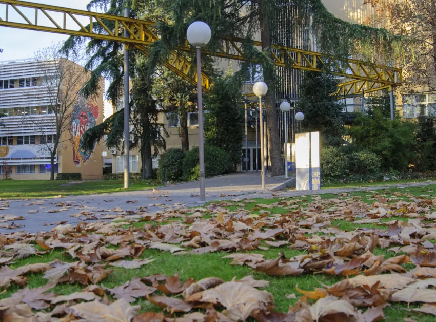 Jardines de la ETSISI - Proyecto de Organización Docente UPM